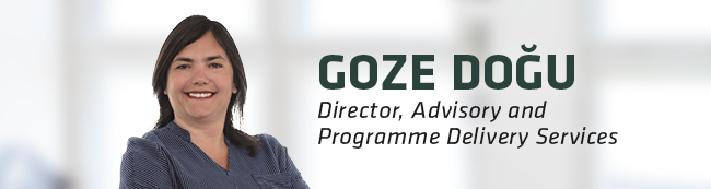 Goze Doğu, Director, Advisory and Programme Delivery Services